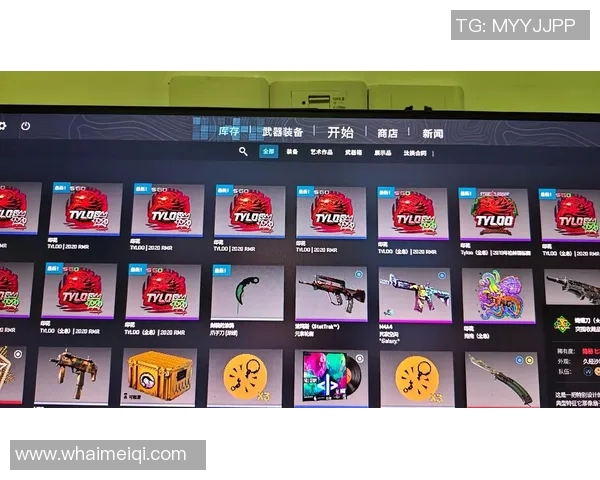 CSGO装备选购指南：最佳游戏手柄推荐与使用体验分享