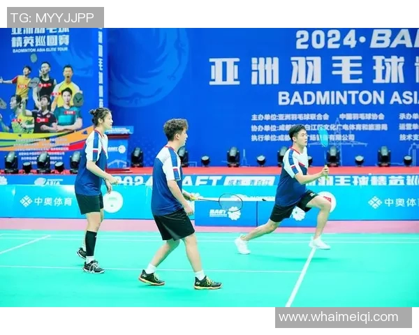 广州羽毛球队在精英赛中的技术表现分析与总结