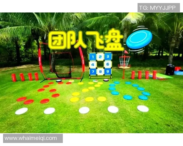 飞盘纪实：深圳飞盘队如何在挑战中实现自我转型与成长